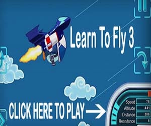 Learn to Fly 3
